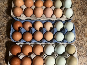 Selling with online payment: Fresh Organic Eggs (San Francisco, CA)