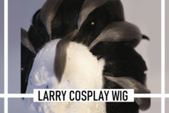 Selling with online payment: Larry Pokemon Styled WIg