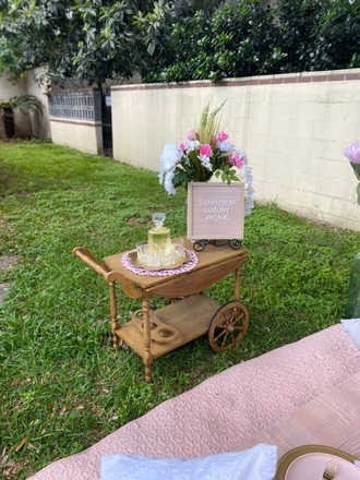 SunnyBug Luxury Picnics 
