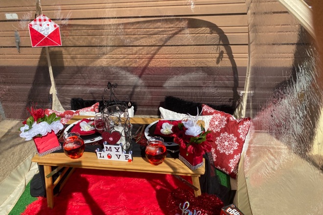 SunnyBug Luxury Picnics 