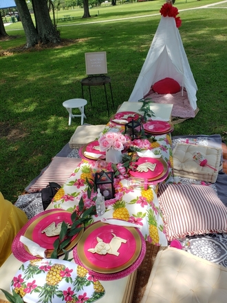 SunnyBug Luxury Picnics 