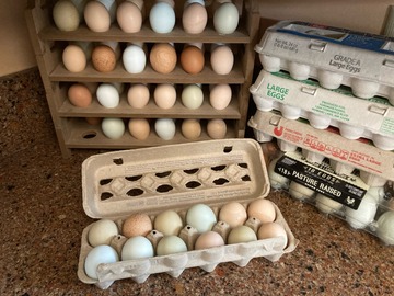 Selling with In-person Payment: Fresh Eggs