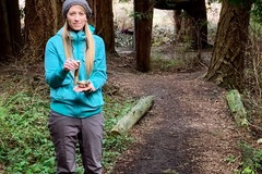 Wellness Session Single: Healing Forest Bathing Frequencies With Lindsey