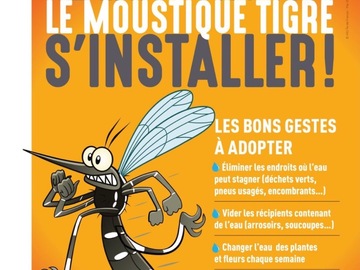 Actualité: Les Moustique Tigres sont arrivées !