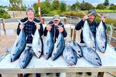 Charter Services: Portland Tuna Fishing
