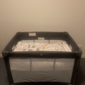 Renting out with online payment: Brand New Cot