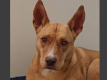  : Sadie