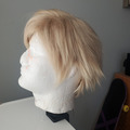 Selling with online payment: Kasou Prompto Wig