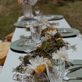 Offering without online payment (No Fees): Luxury Picnics in RDU Area