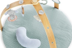 Renting out with online payment: Portable Ingenuity Activity Gym (Reversible)