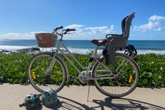 Renting out with online payment: Beach Cruiser with Child Seat