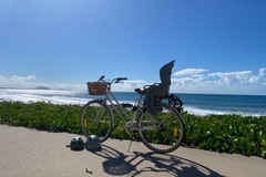 Renting out with online payment: Cruiser Bike with Child Seat