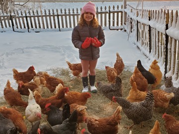 Selling with In-person Payment: pastured chicken eggs