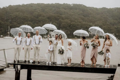 Renting out: 12 Clear Umbrellas