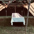 Offering with deposit : Boho Luxury Dinner