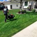 Services: Grass Cutting