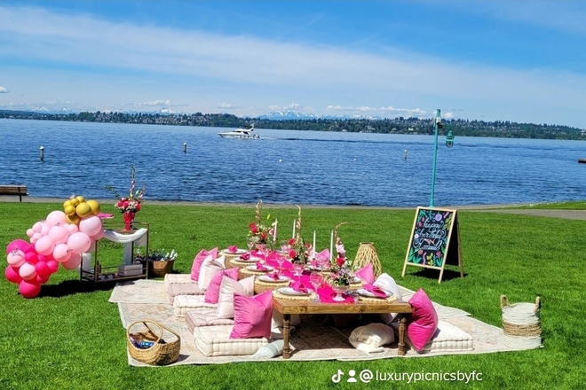 Luxury Picnic for 4