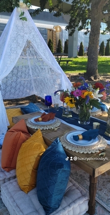 Luxury Picnic for 4