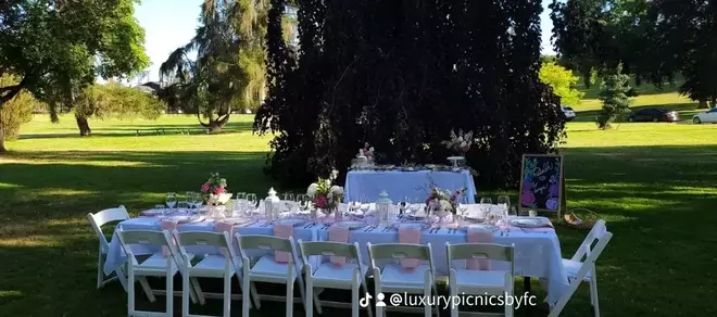 Luxury Picnic for 4