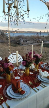 Luxury Picnic for 4