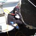 Offering: FROGGMAN DIVE TEAM - Hull Cleaning, Pensacola to Destin, Fl.