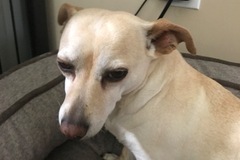   : Pocky, Lulu & Lena