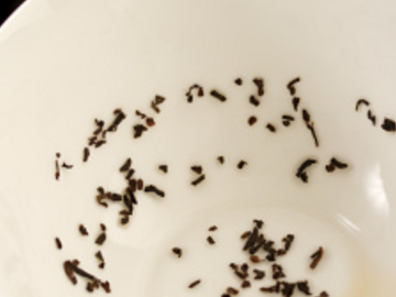 Selling: Divination in depth reading of your tea leaves