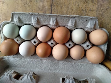 Selling with In-person Payment: Farm fresh eggs