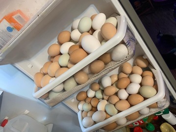 Selling with In-person Payment: Farm fresh buttnuggets