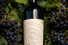 Venta: Vinos Orgánicos Sustentables - Félix Enrique 1931