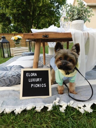 Elora Luxury Picnics - A Little Something Extra