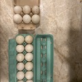 Selling with In-person Payment: 1 dz. Duck eggs