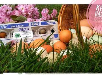 Selling with In-person Payment: FARM FRESH FREE RANGE CHICKEN EGGS