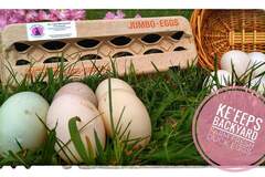 Selling with In-person Payment: FARM FRESH FREE RANGE DUCK EGGS