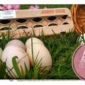 Selling with In-person Payment: FARM FRESH FREE RANGE DUCK EGGS