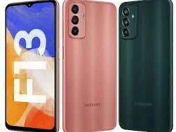 Renting out with online payment: Samsung Galaxy F13