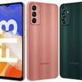 Renting out with online payment: Samsung Galaxy F13