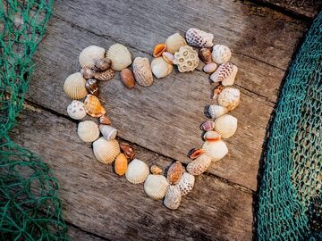Selling: Do you seek to reconnect with your lost love?