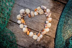 Selling: Do you seek to reconnect with your lost love?
