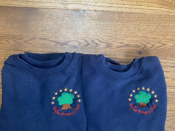 Selling With Online Payment: Age 5-6 Balfour Logo Sweatshirt 