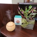 Buy Now: Diffuser/Humidifier