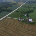 Selling with In-person Payment: Pasture Raised Fresh Duck Eggs