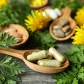 AGENDAR: NUTRIÇÃO EM FITOTERAPIA