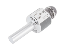Renting out with online payment: Wireless Bluetooth Karaoke Microphone