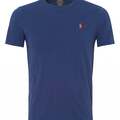 Comprar ahora: (40)Ralph Lauren T- Shirts Assorted Colors MSRP $ 2,600.00