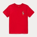 Comprar ahora: (45)Ralph Lauren T- Shirts for Children Assorted Colors MSRP $2,4