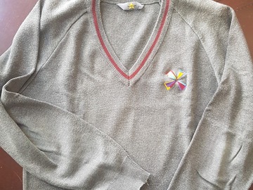 Selling With Online Payment: Blatchington Mill school jumper.  Slightly worn out on one sleeve