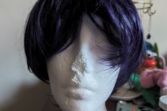 Selling with online payment: Violet Purple Bob Wig