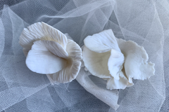 Selling: Lori Muldoon Porcelain sculptural petal earrings 