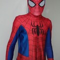 Selling with online payment: Ultimate Spider-Man Suit V2